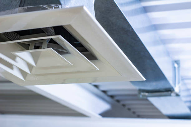 Best Home Air Vent Cleaning  in Camanche, IA