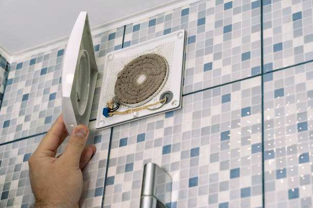 Best Air Vent Cleaning Services  in Camanche, IA