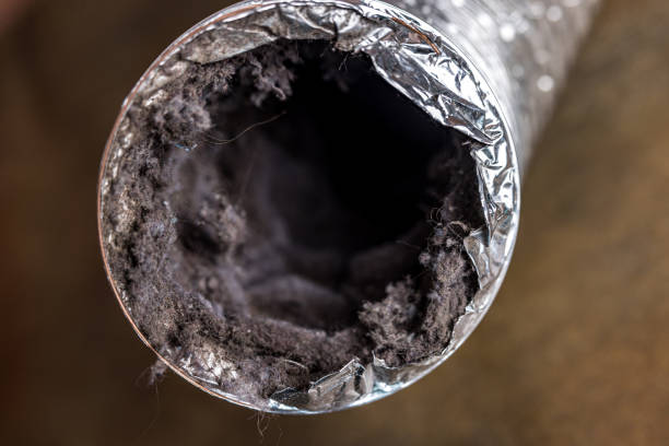 Best Best Air Duct Cleaning Company  in Camanche, IA