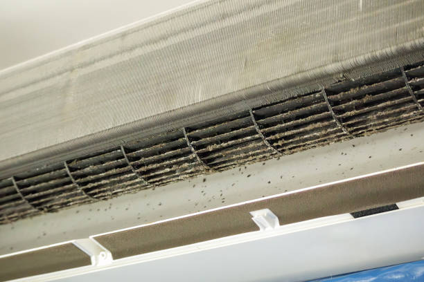 Best HVAC Maintenance and Cleaning  in Camanche, IA